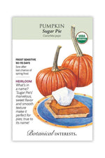 Botanical Interests Sugar Pie Pumpkin Organic Seeds