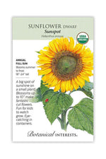 Botanical Interests Sunspot Dwarf Sunflower Organic Seeds