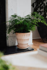 Pantheon Pot with Saucer 6.3"x6.9" RAW Rosa