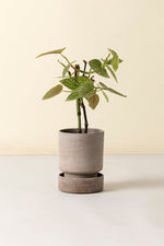 Hoff Pot 4.7"x5.9" RAW Grey