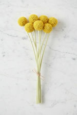 Faux Billy Button Bundle 13" Yellow