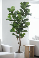 Faux Fiddleleaf Fig Tree Potted 90.5"