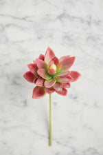Faux Real Touch Mini Agave Pick 5" Red & Green