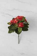 Faux Mini Kalanchoe Bush 9" Red