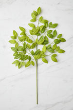 White Ash Leaf Silk Spray 19" Green