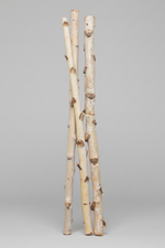 Birch Pole 3'