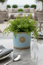 Chelsea Kew Round Herb Planter 4" Duck Egg Blue