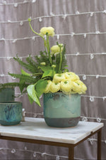 Caribe Pot 6.75"x 6"