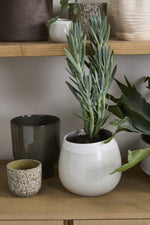 Choice Pot 7.5"x 7.75" Off White