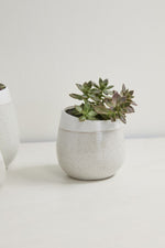 Choice Pot 5.5"x 5.75" Off White