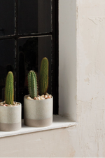 Downy Pot 5.5"x5" White