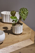 Everleaf Pot 4.75"x 4.25" Off White
