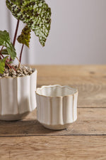 Everleaf Pot 3.25"x 3" Off White