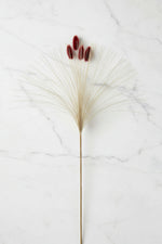 Faux Bunny Tail Grass Bundle 19" Burgundy