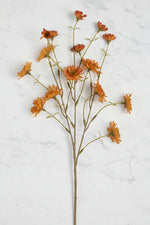 Faux Primula Spray 24" Amber
