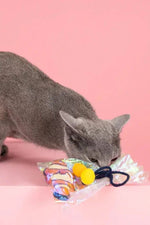 Fringe Studio Clownin' Around Cat Toy