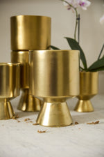 Accent Decor Gold De Vil Pot 6.5"x9.25" Gold