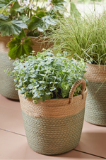 Paperrope Basket Two Tone with Handles Small