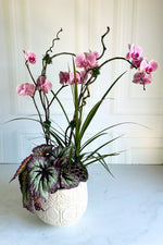 Chalet Signature Color Orchid Francis 8"