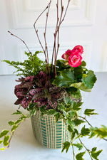 Chalet Signature Farmhouse Begonia Zati6