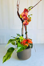 Chalet Signature Farmhouse Color Orchid Habitat 7"