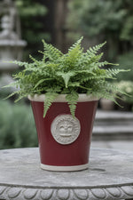 Cotswold Kew Long Toms Pot Medium Berry Red
