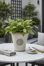 Cotswold Kew Long Tom Planter Medium Ivory