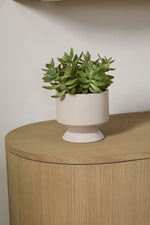 Pasadena Pot 6.25"x6" Tan