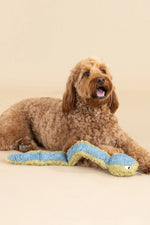 Petshop by Fringe Don't Get Wrapped Up Dog Toy