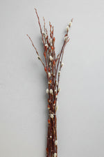 Pussy Willow Stems Bunch 3'