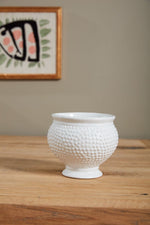 Spotti Pot 5.5"x 5"