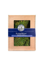 SuperMoss Preserved Mood Moss
