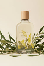 Thymes Olive Leaf Body Wash
