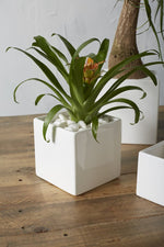 Urban Square Planter 4.75"x4.75" Matte White