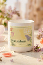 Vicinity Candles Chicago Awakening