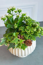 Chalet Signature Moonlight Sonata 7"