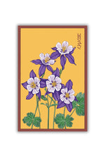 Chive Columbine Flower Seeds