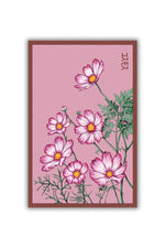 Chive Cosmos Flower Seeds