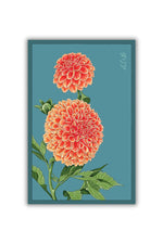 Chive Dahlia Flower Seeds