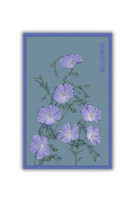 Chive Flax Blue Flower Seeds