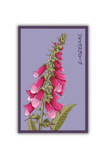 Chive Foxglove Flower Seeds
