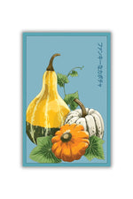 Chive Funky Squash Vegetable Seeds