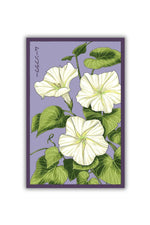 Chive Giant Moonflower Seeds