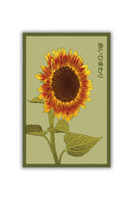 Chive Red Sunflower Flower Seeds