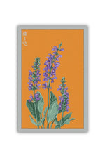 Chive Sage Herb Seeds