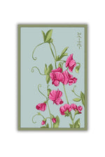 Chive Sweet Pea Flower Seeds