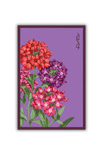 Chive Verbena Flower Seeds