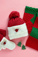Kris Kringle Knit Hat
