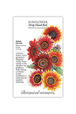 Botanical Interests Drop Dead Red Sunflower Seeds