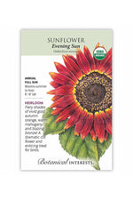 Botanical Interests Evening Sunflower Organic Seeds